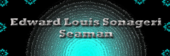 Edward Louis Sonageri Banner 